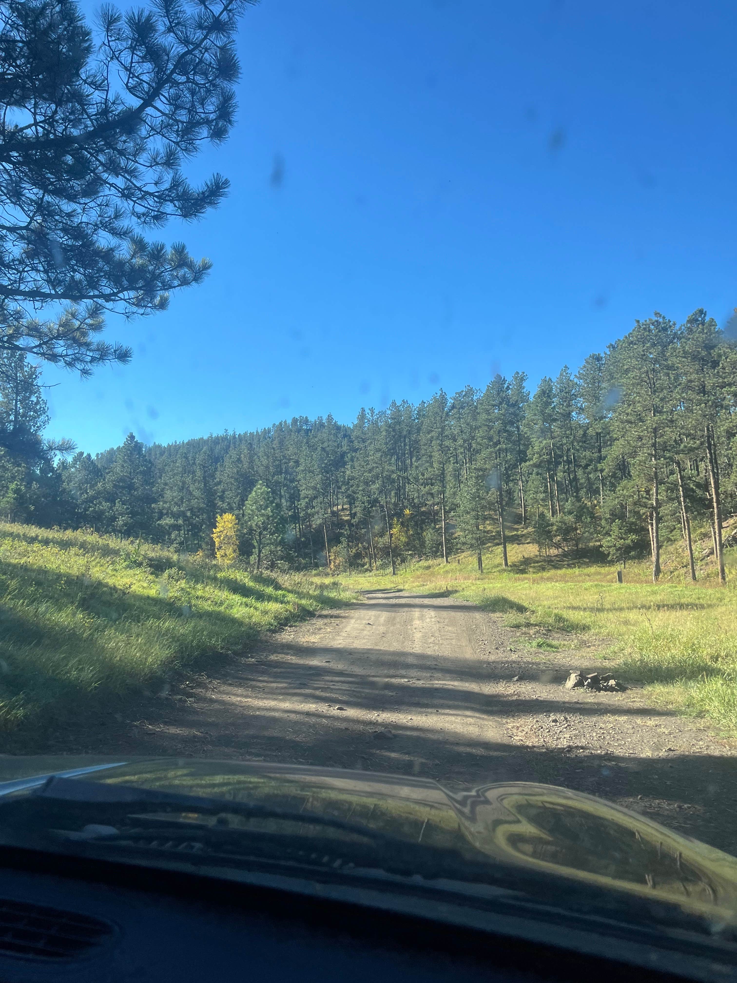 Camping near Black Hills National Forest Bear Gulch Campground: Dispersed Camping near Taylor Ranch Rd, Hill City, South Dakota