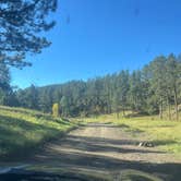 Review photo of Dispersed Camping near Taylor Ranch Rd by Devlin M., October 6, 2025
