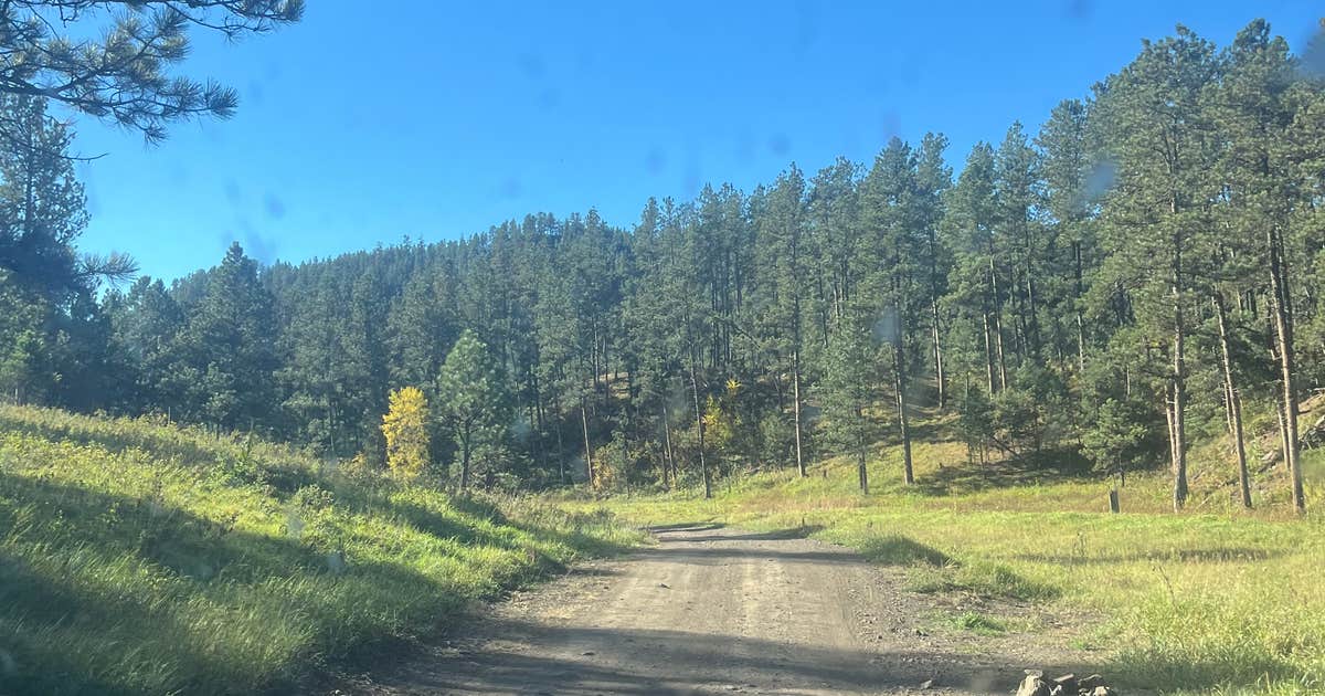 Dispersed Camping near Taylor Ranch Rd