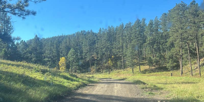 Camper submitted image from Dispersed Camping near Taylor Ranch Rd