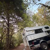 Review photo of Dispersed Camping NF 2918 — Olympic National Park by Aubrey M., July 21, 2026