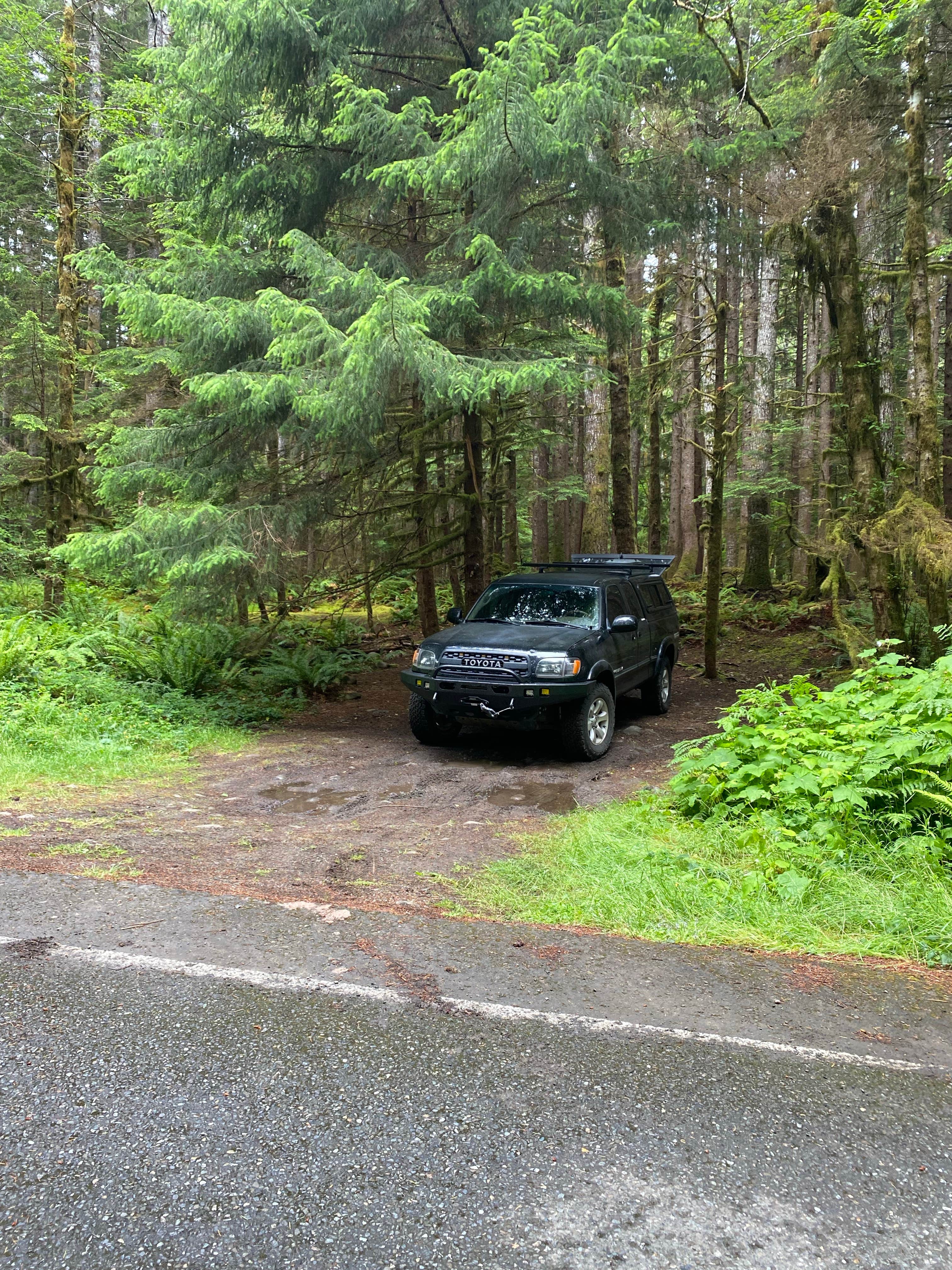 Camper submitted image from Dispersed Camping NF 2918 — Olympic National Park - 5