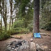 Review photo of Dispersed Camping NF 2918 — Olympic National Park by Aubrey M., July 21, 2026