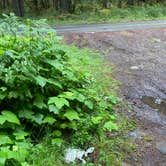 Review photo of Dispersed Camping NF 2918 — Olympic National Park by Evan H., June 28, 2024