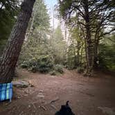 Review photo of Dispersed Camping NF 2918 — Olympic National Park by Aubrey M., July 21, 2026