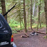 Review photo of Dispersed Camping NF 2918 by Evan H., June 28, 2024