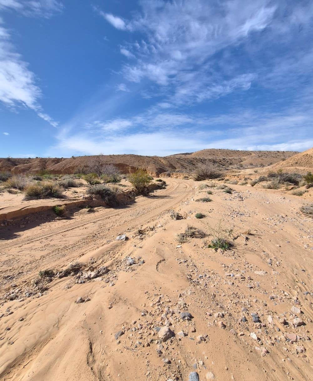 Camper-submitted photo at Dispersed Camping North of Logandale near Overton, NV
