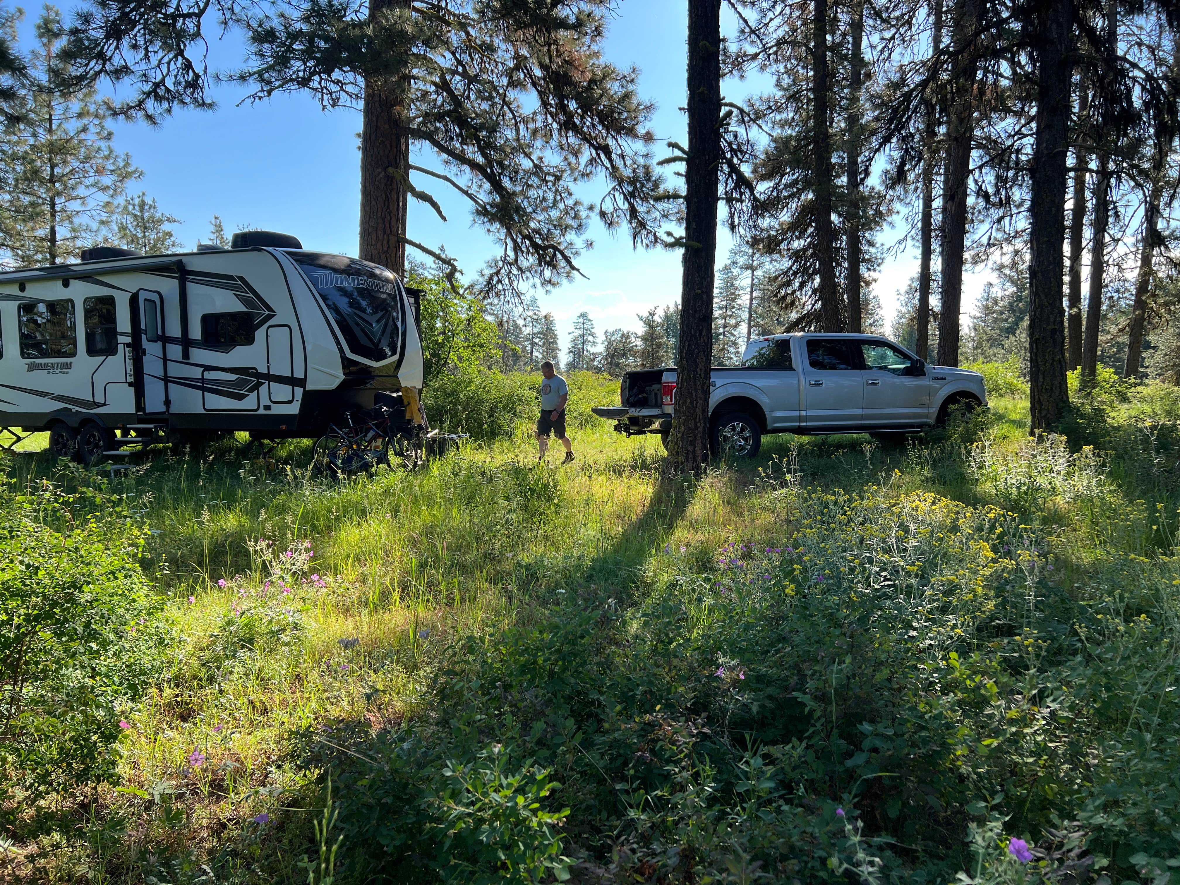 Camping near Kirkwood Ranch: North Thomason Meadows, Imnaha, Oregon