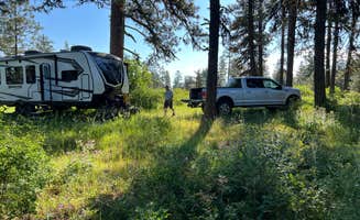 Alyse L.'s photo of rv camping at North Thomason Meadows near Lostine, OR