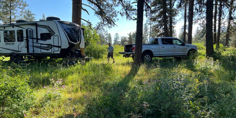 Camper submitted image from North Thomason Meadows