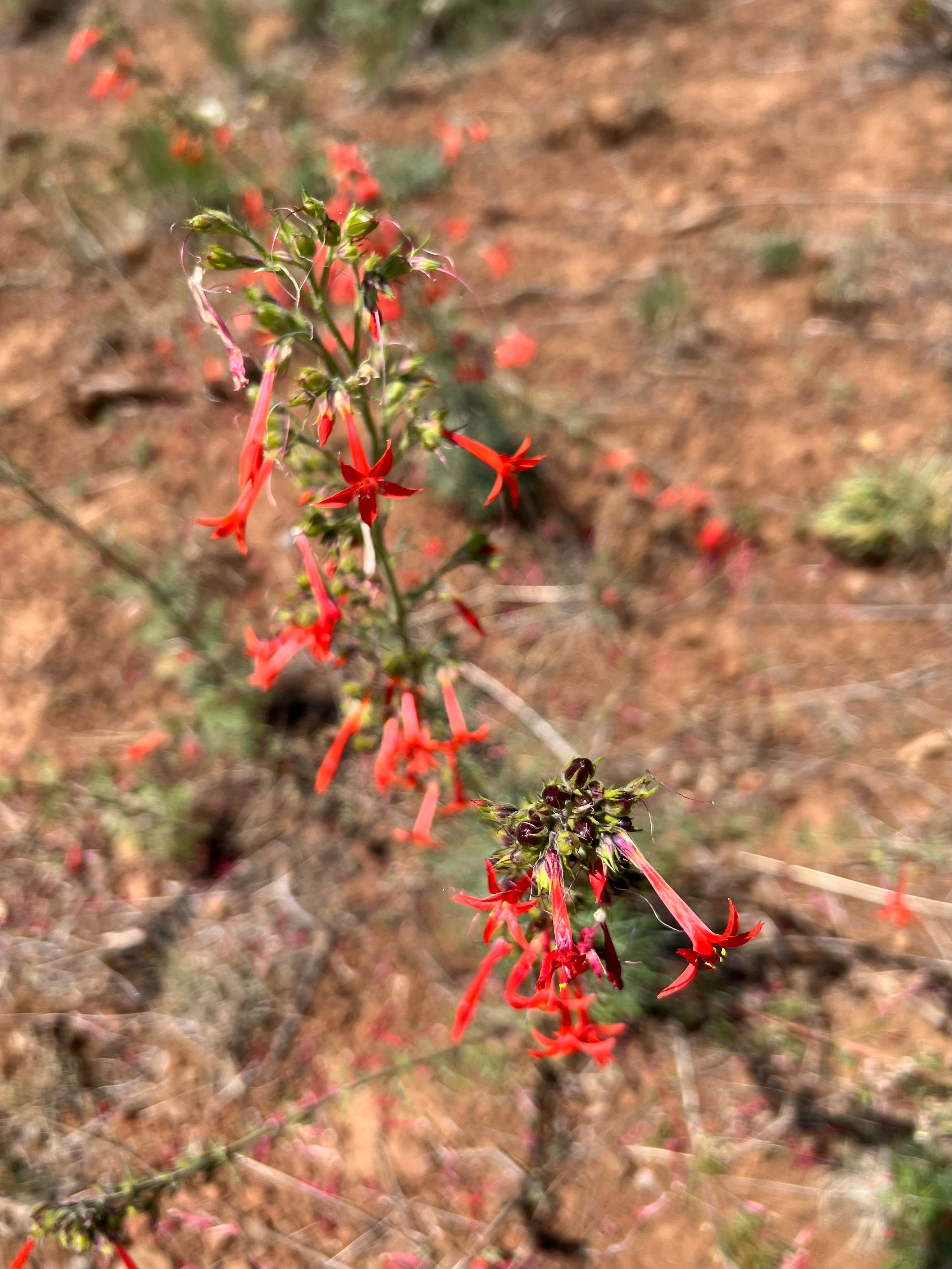 Camper-submitted photo at North Thomason Meadows near Enterprise, OR