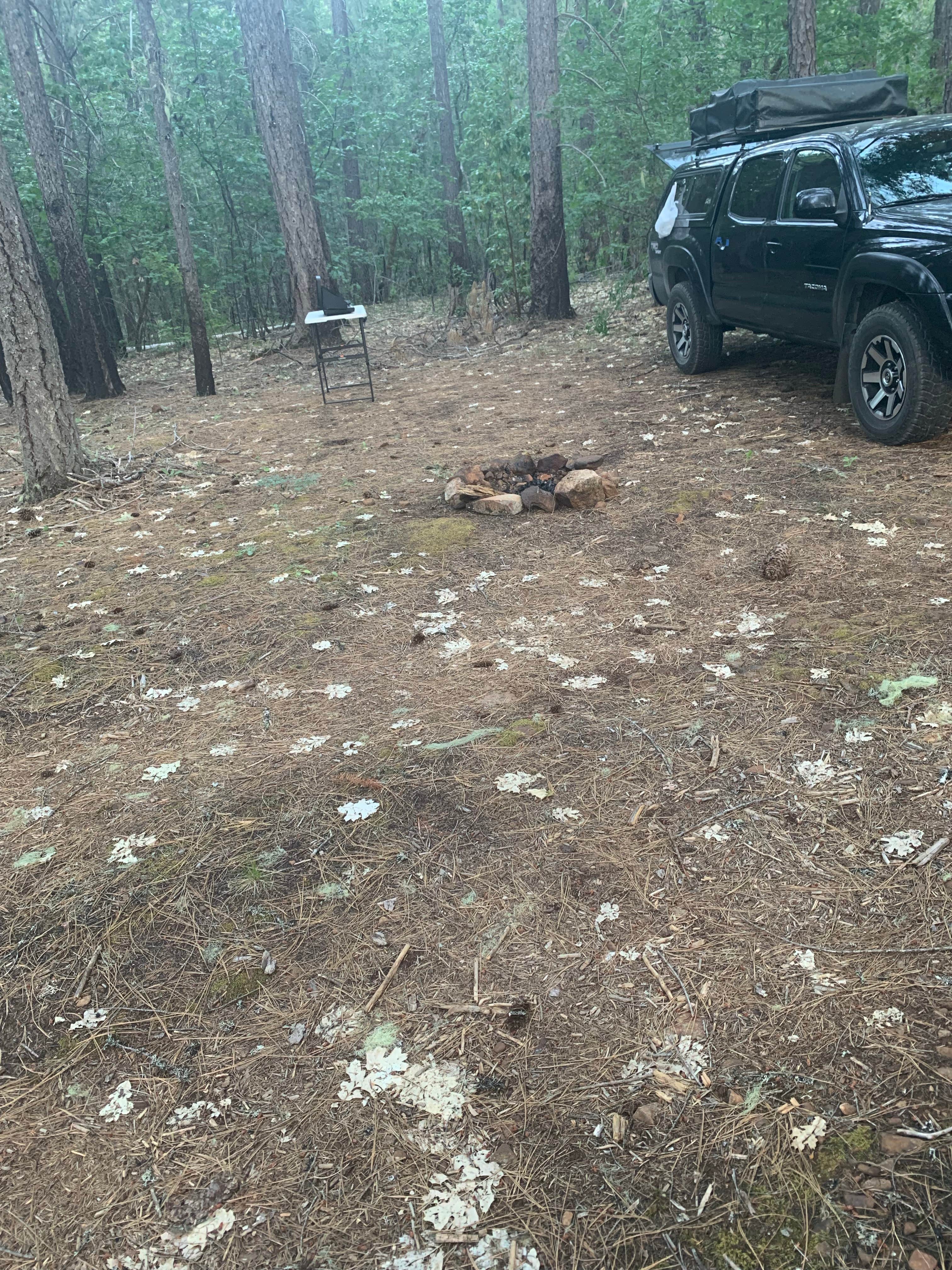 Dispersed camping off $8 mountain Rd