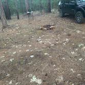 Review photo of Dispersed camping off $8 mountain Rd by Gabby C., June 7, 2024