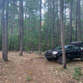 Review photo of Dispersed camping off $8 mountain Rd by Gabby C., June 7, 2024