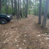 Review photo of Dispersed camping off $8 mountain Rd by Gabby C., June 7, 2024