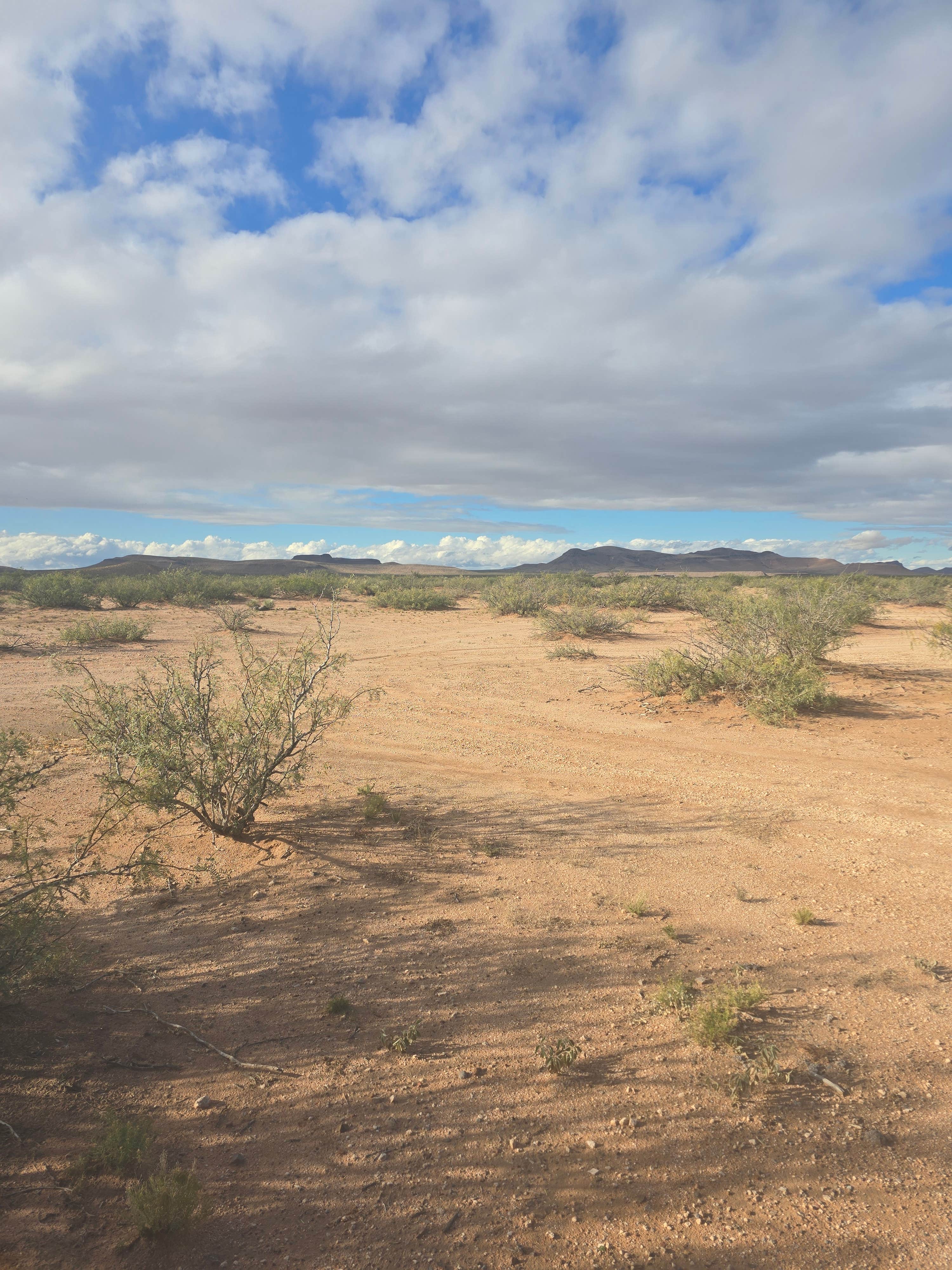 Camper-submitted photo at Dispersed Camping off Corralitos Rd on I-10 near Hatch, NM
