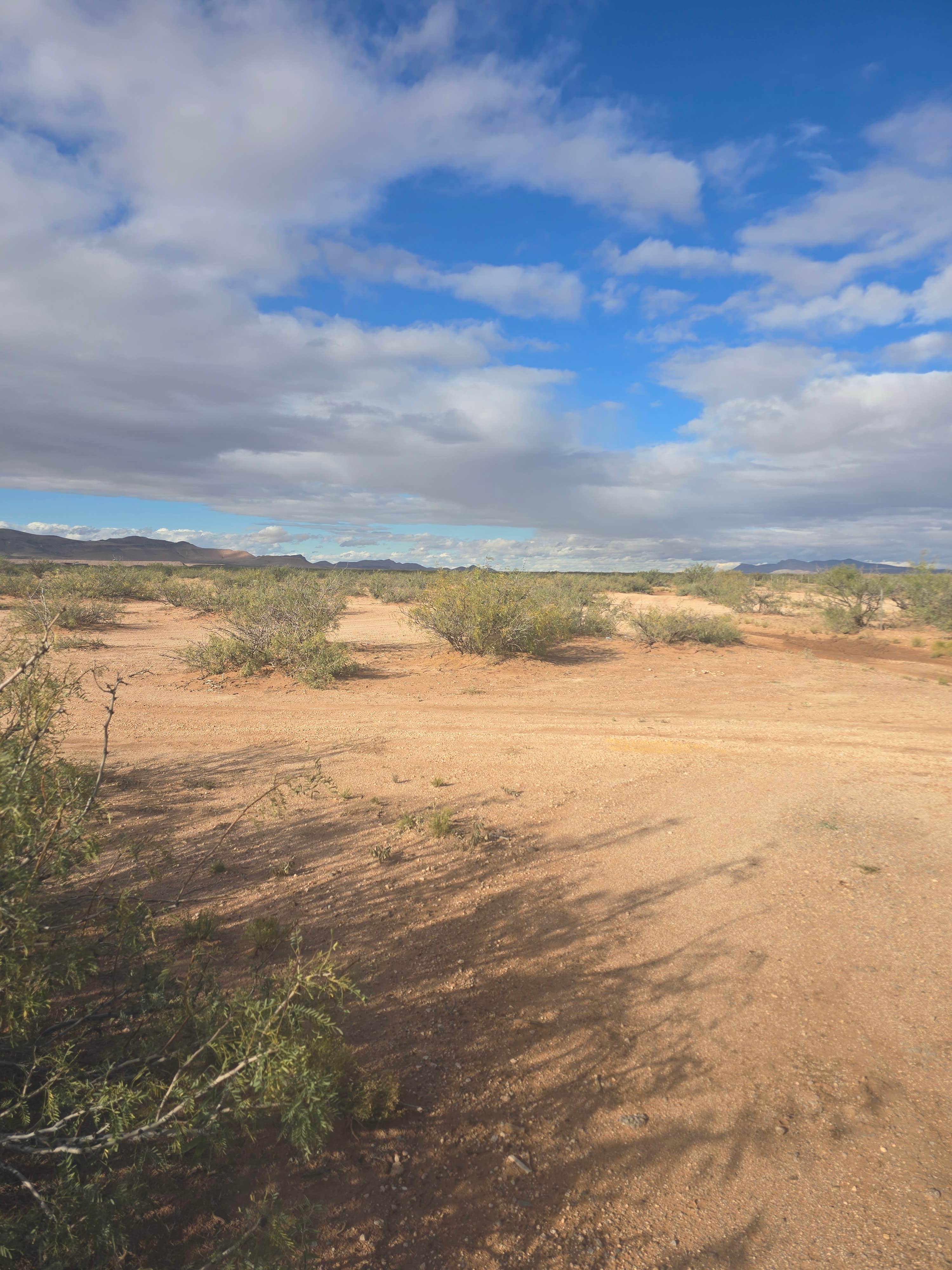 Camper submitted image from Dispersed Camping off Corralitos Rd on I-10 - 1