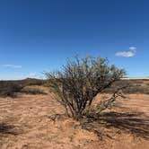 Review photo of Dispersed Camping off Corralitos Rd on I-10 by Roy B., January 4, 2026