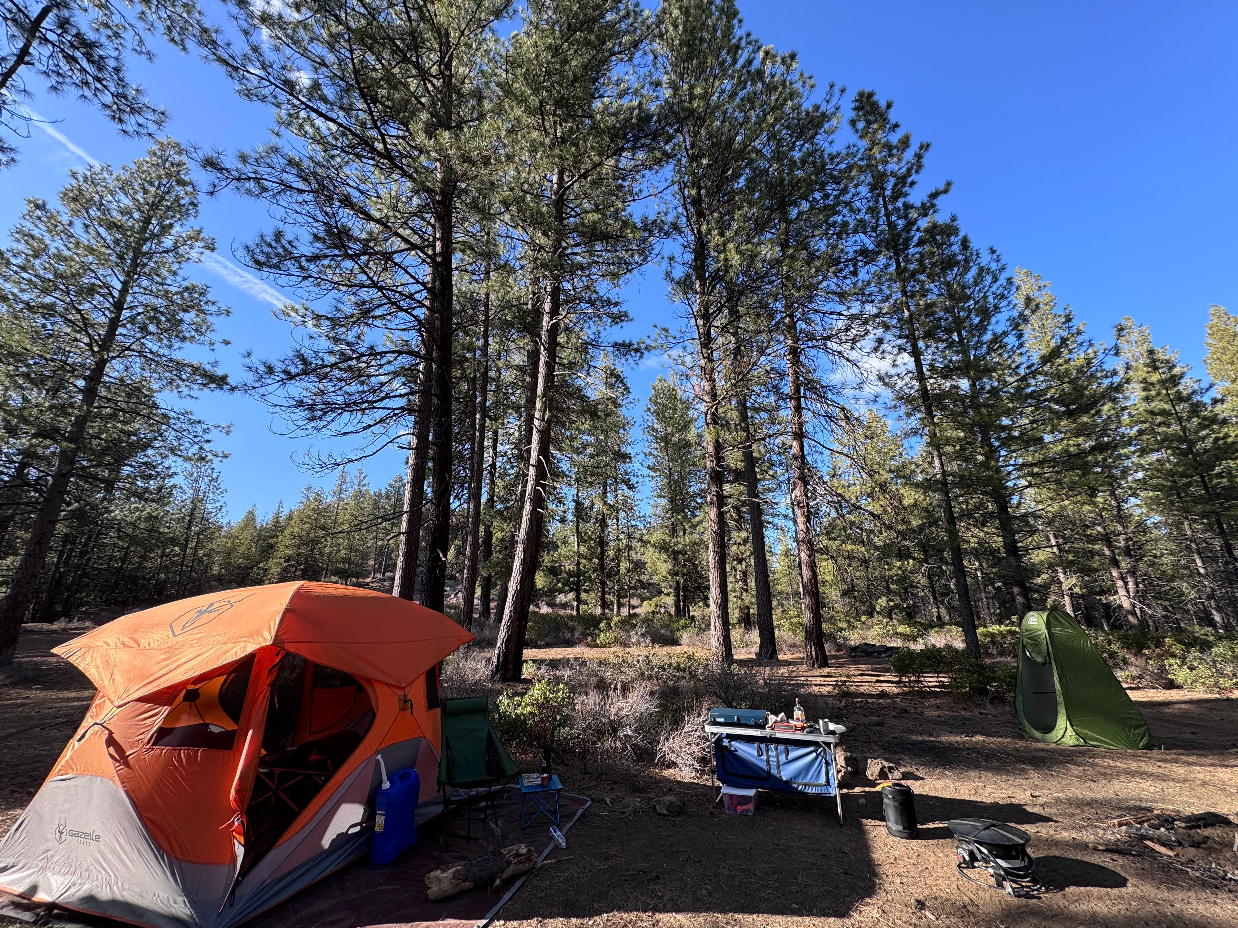 Camper submitted image from FR 9710 Dispersed Roadside Camping - 2