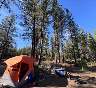 Camper-submitted photo from FR 9710 Dispersed Roadside Camping