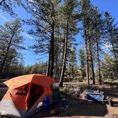 Review photo of FR 9710 Dispersed Roadside Camping by PJ J., April 2, 2024