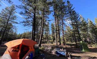 PJ J.'s photo of a dispersed camping area at FR 9710 Dispersed Roadside Camping near Fort Rock, OR