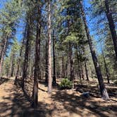Review photo of FR 9710 Dispersed Roadside Camping by Jonathan , July 2, 2026