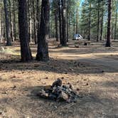 Review photo of FR 9710 Dispersed Roadside Camping by Jules S., June 27, 2025