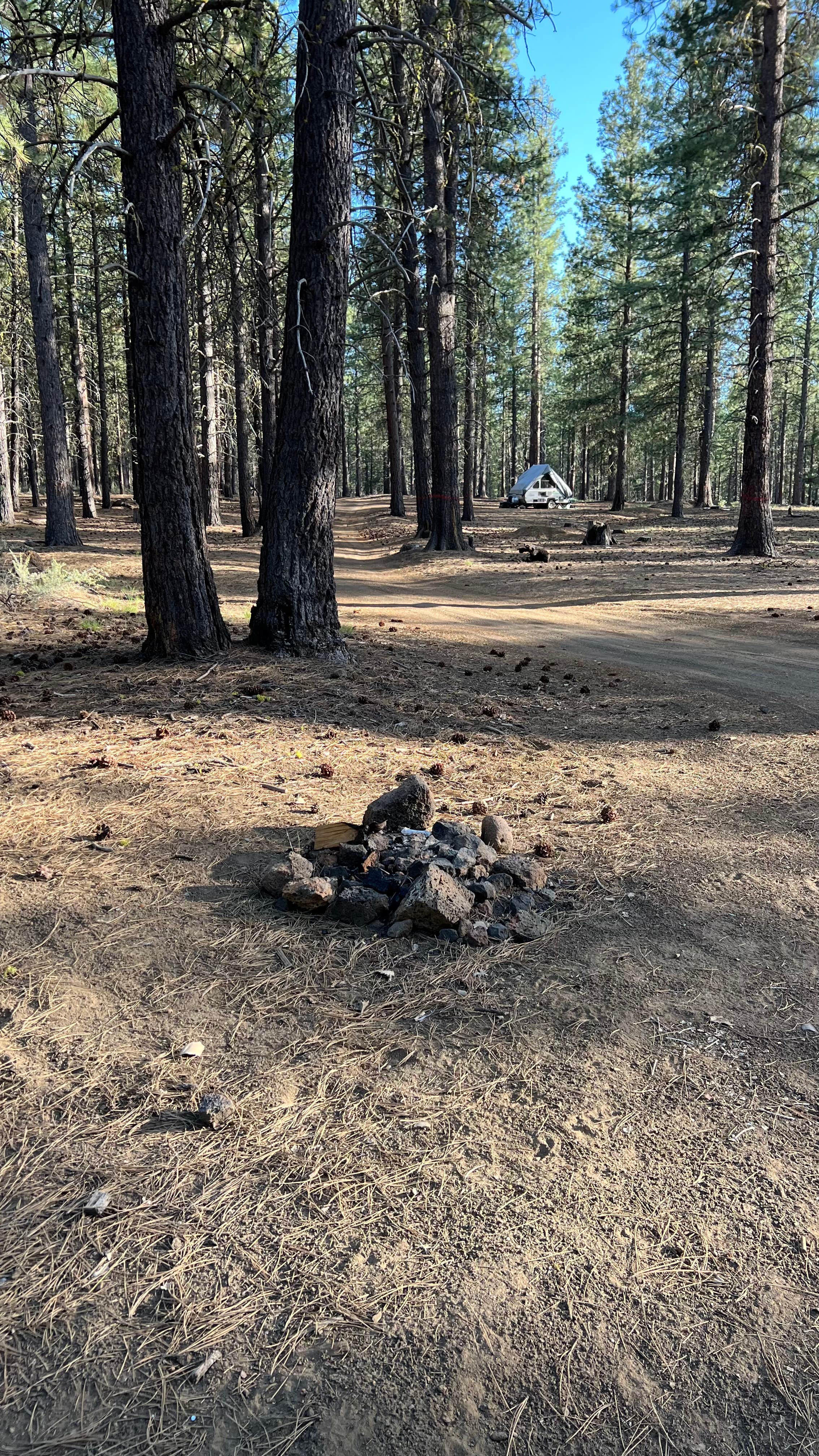 Camper submitted image from FR 9710 Dispersed Roadside Camping - 1