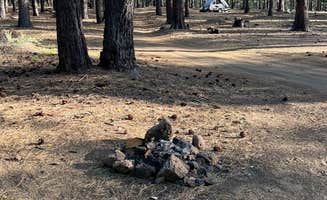 Jules S.'s photo of a dispersed camping area at FR 9710 Dispersed Roadside Camping near Fort Rock, OR