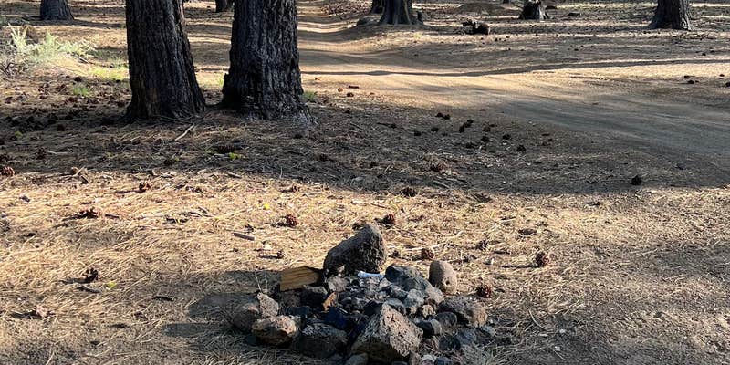 Camper submitted image from FR 9710 Dispersed Roadside Camping