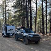 Review photo of FR 9710 Dispersed Roadside Camping by Jules S., June 27, 2025