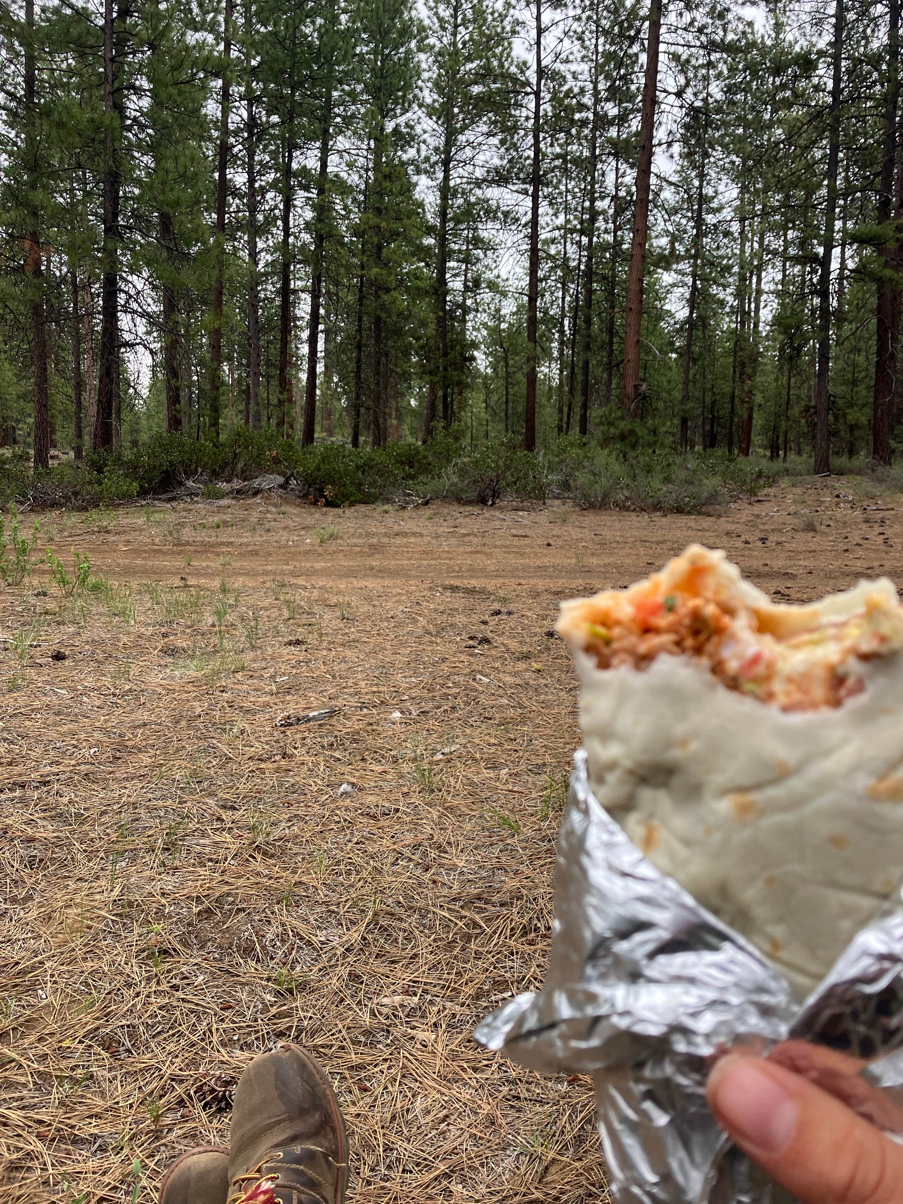 Camper submitted image from FR 9710 Dispersed Roadside Camping - 5