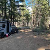 Review photo of FR 9710 Dispersed Roadside Camping by Jules S., June 27, 2025