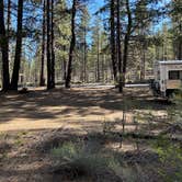 Review photo of FR 9710 Dispersed Roadside Camping by Raina D., June 21, 2024