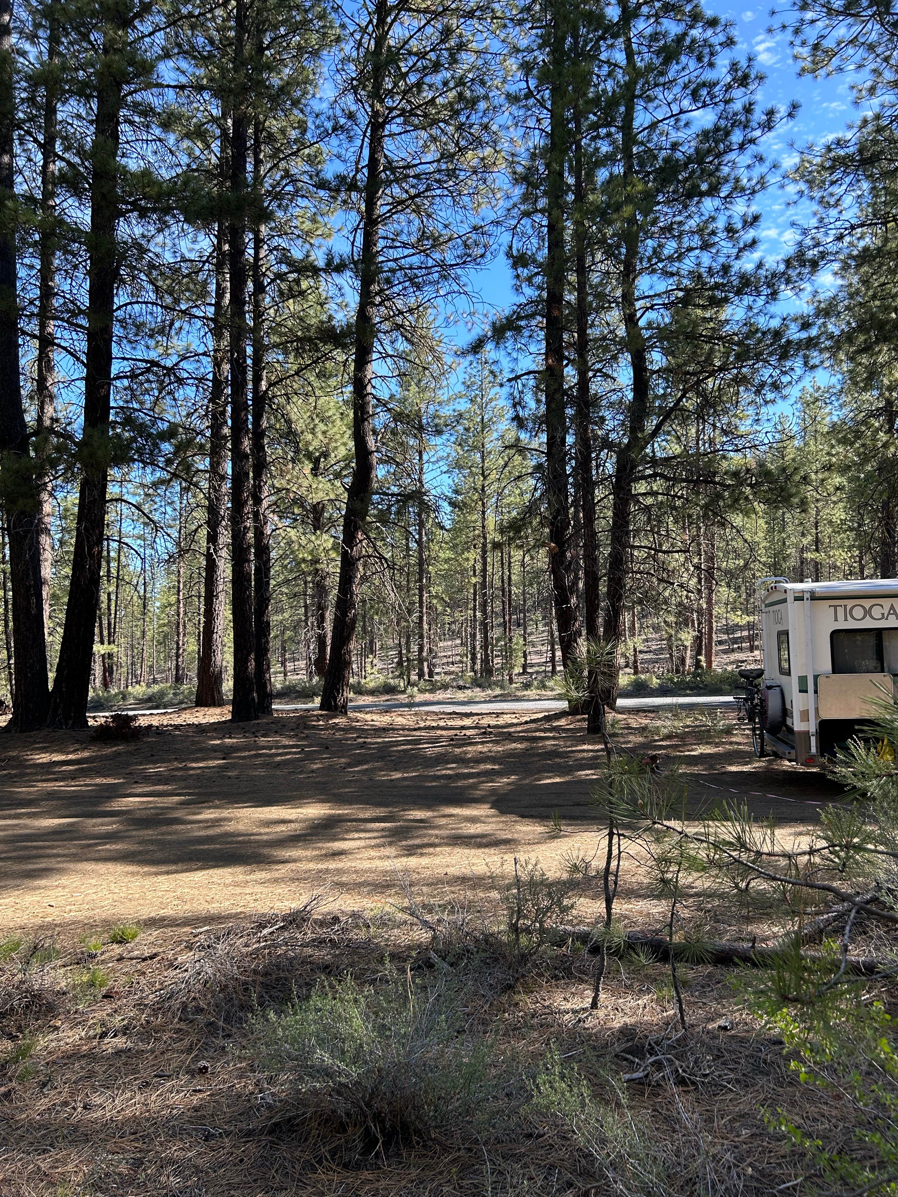 Camper submitted image from FR 9710 Dispersed Roadside Camping - 5