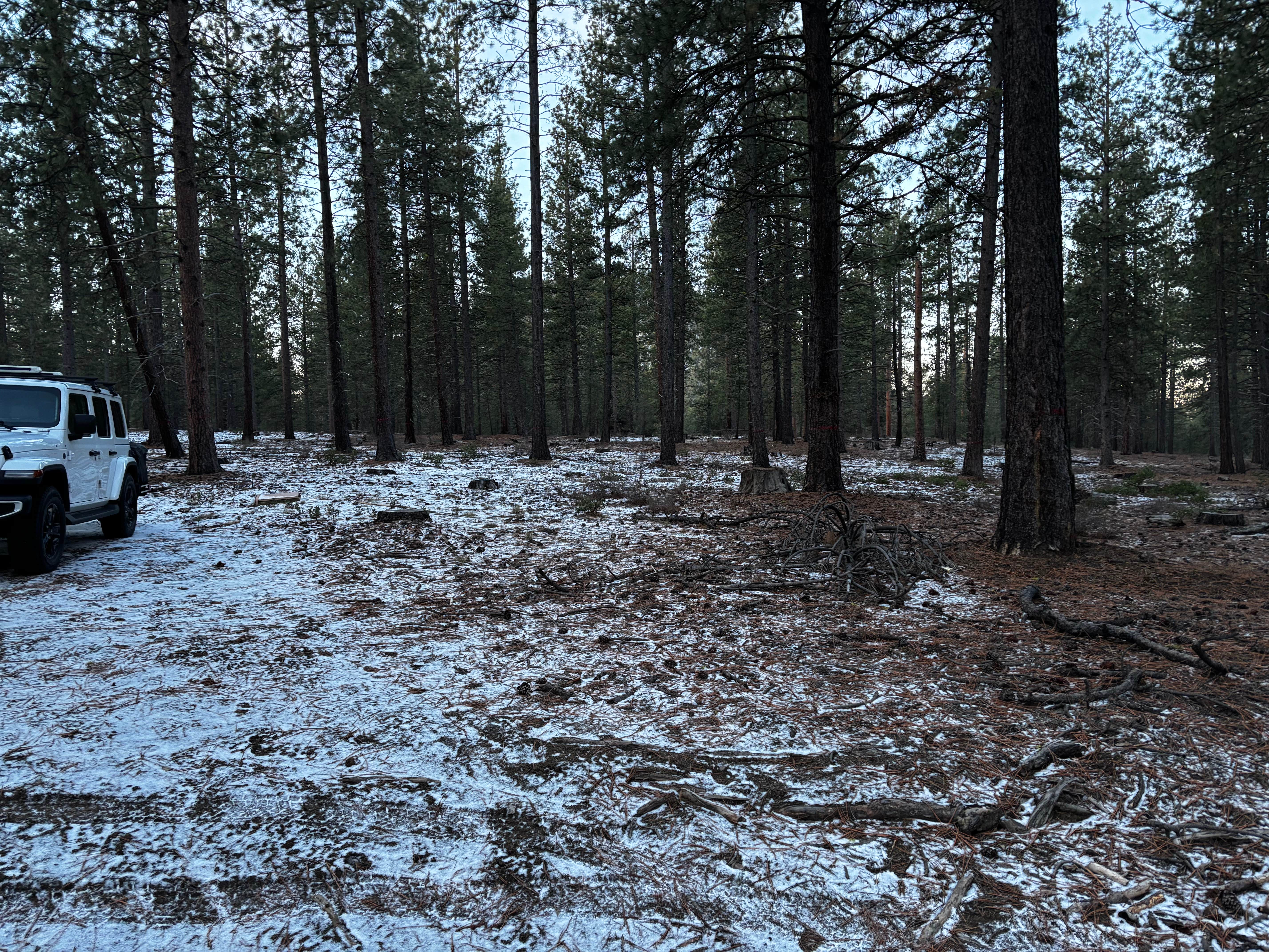 Camper-submitted photo at FR 9710 Dispersed Roadside Camping near Bend, OR