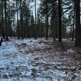 Review photo of FR 9710 Dispersed Roadside Camping by Chris D., January 16, 2026