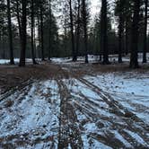 Review photo of FR 9710 Dispersed Roadside Camping by Chris D., January 16, 2026