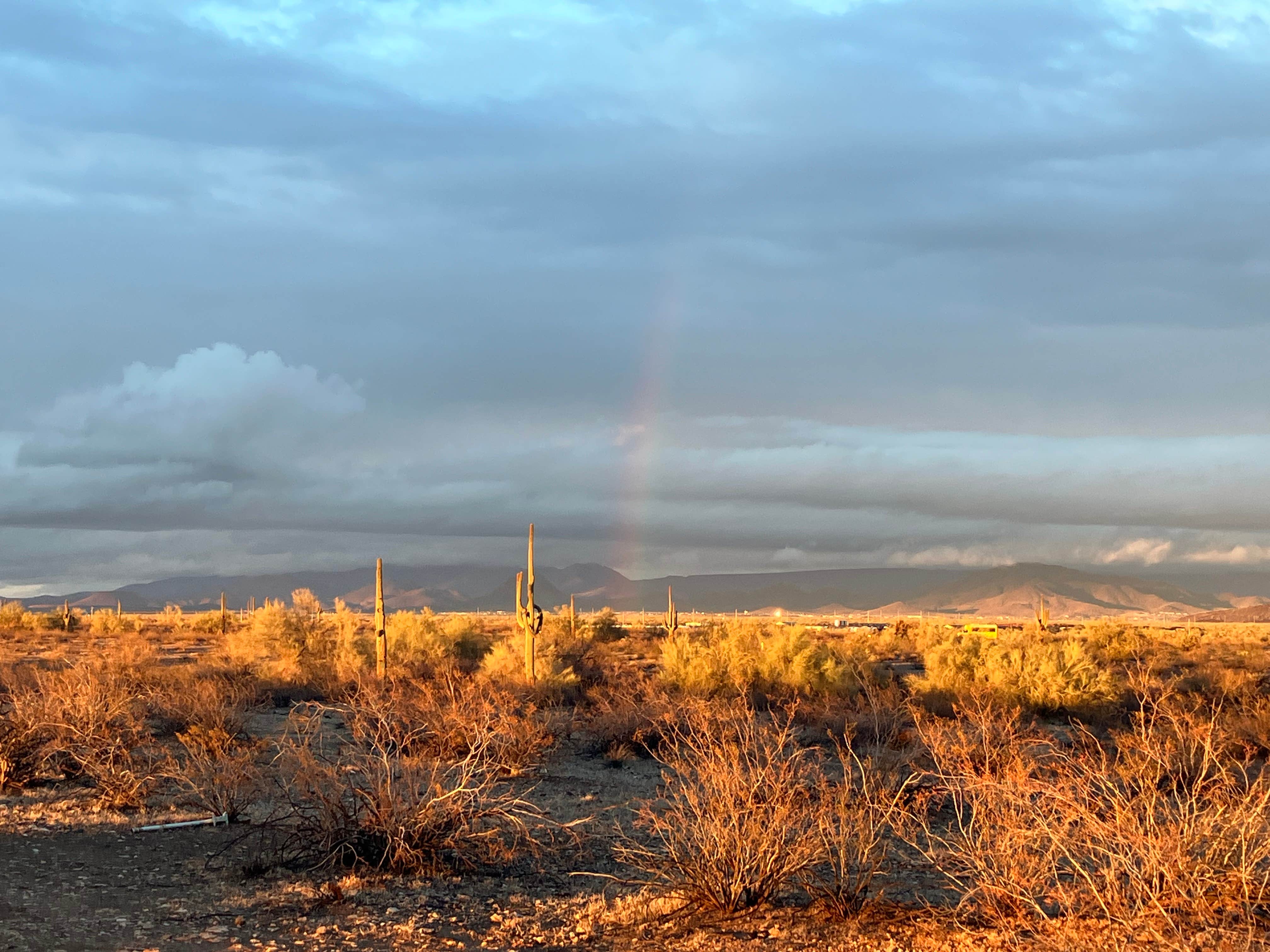 Camper-submitted photo at Dispersed Camping off hwy 74 near Phoenix, AZ