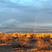 Review photo of Dispersed Camping off hwy 74 by Christopher H., May 6, 2025