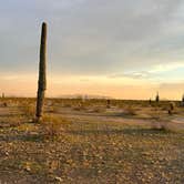 Review photo of Dispersed Camping off hwy 74 by James P., February 29, 2024