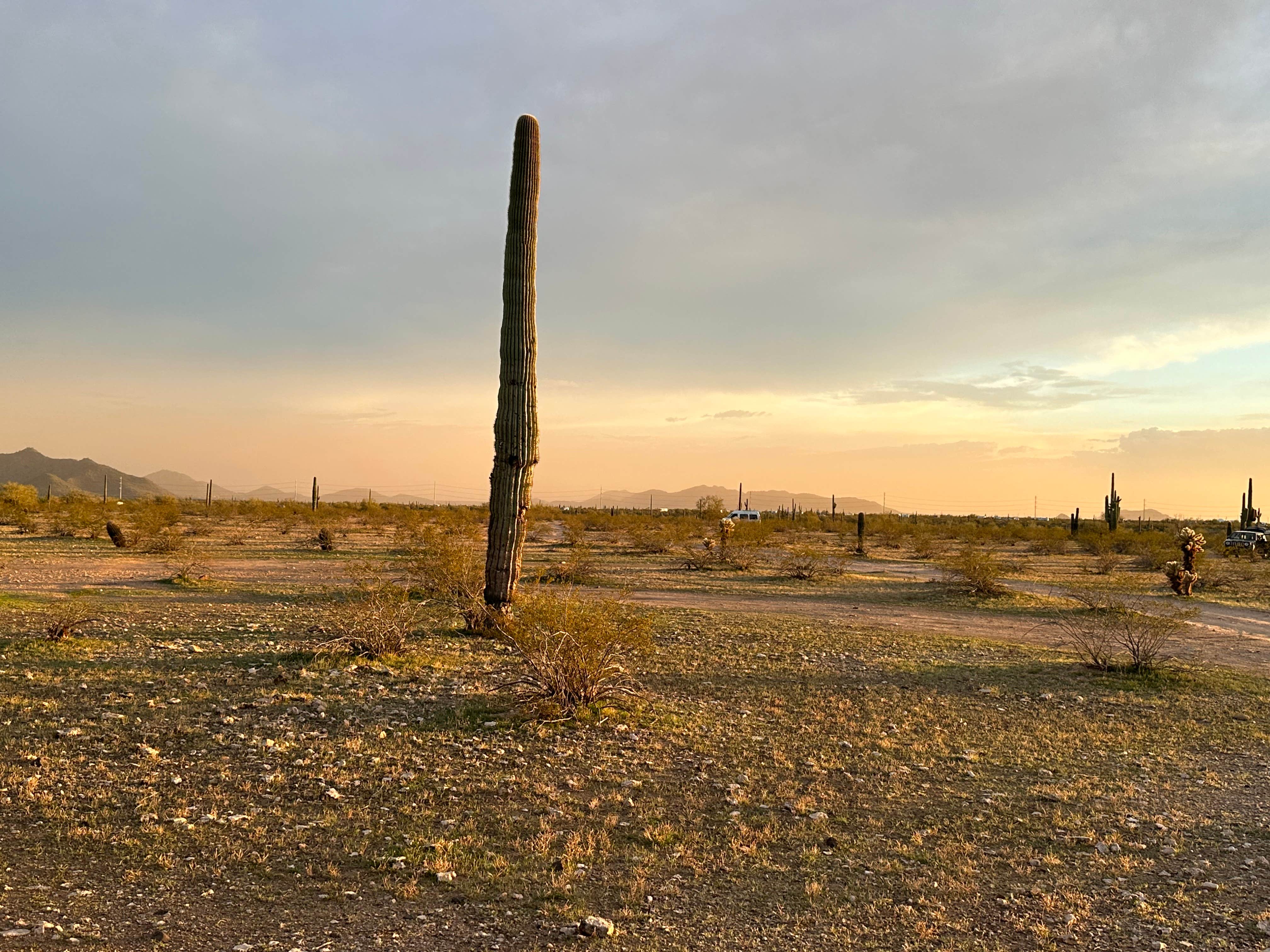 Camper submitted image from Dispersed Camping off hwy 74 - 5
