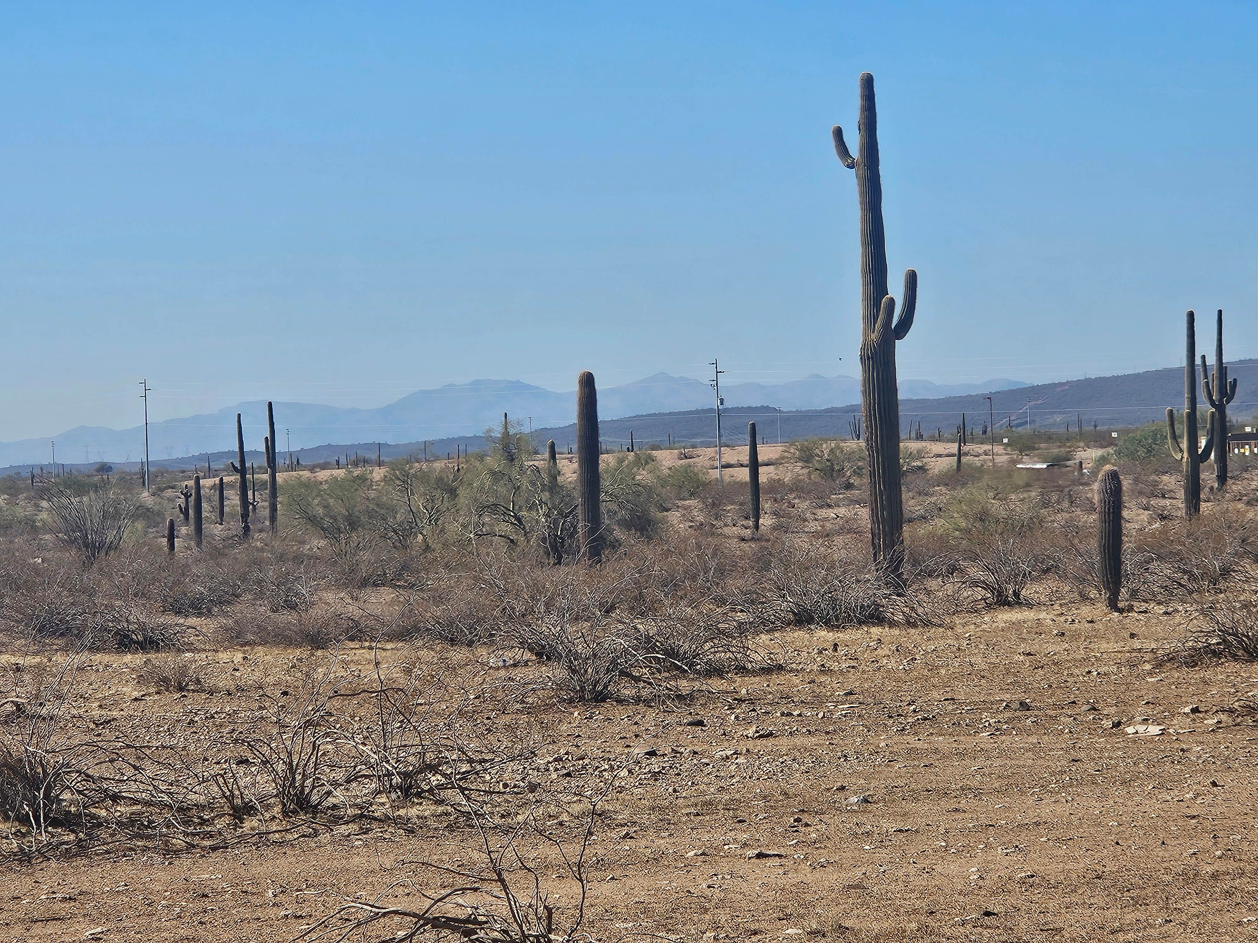 Camper-submitted photo at Dispersed Camping off hwy 74 near Phoenix, AZ