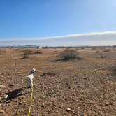 Review photo of Dispersed Camping off hwy 74 by Gregg T., December 27, 2024