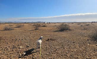 Gregg T.'s photo of camping with pets at Dispersed Camping off hwy 74 near Crown King, AZ