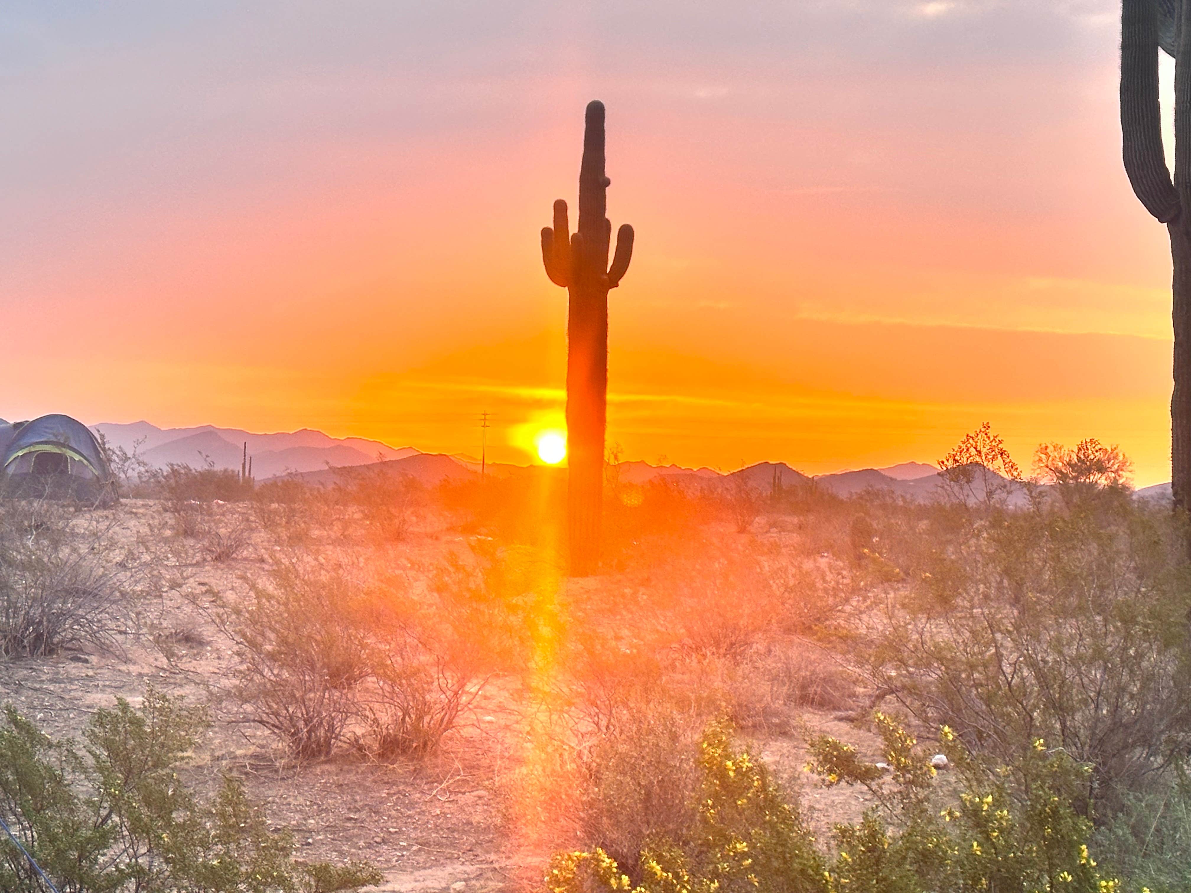 Camper-submitted photo at Dispersed Camping off hwy 74 near Phoenix, AZ