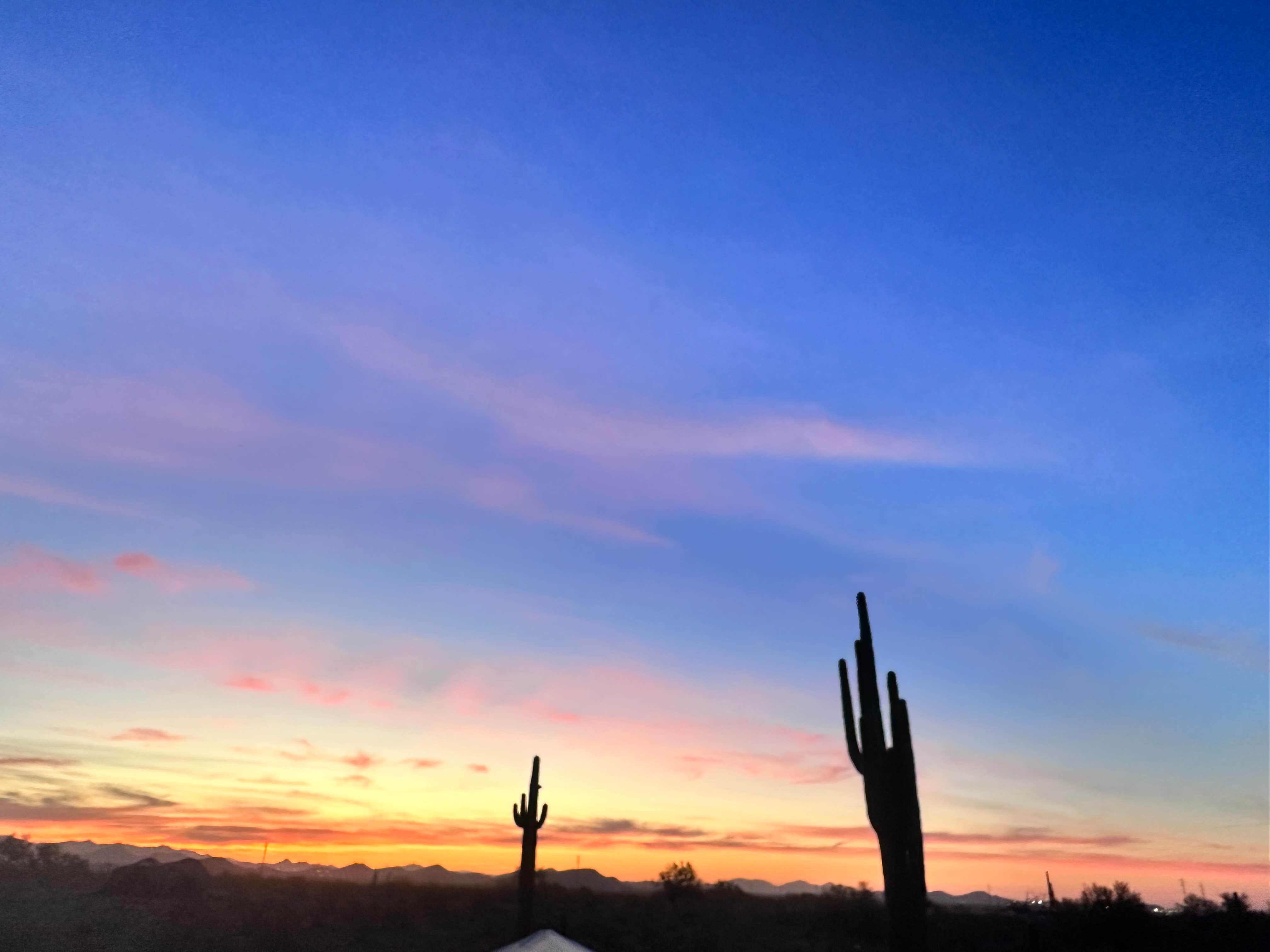 Camper-submitted photo at Dispersed Camping off hwy 74 near Phoenix, AZ