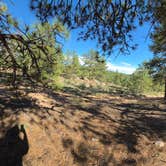 Review photo of Tarryall Creek- Dispersed Camping by Mariana , August 16, 2026