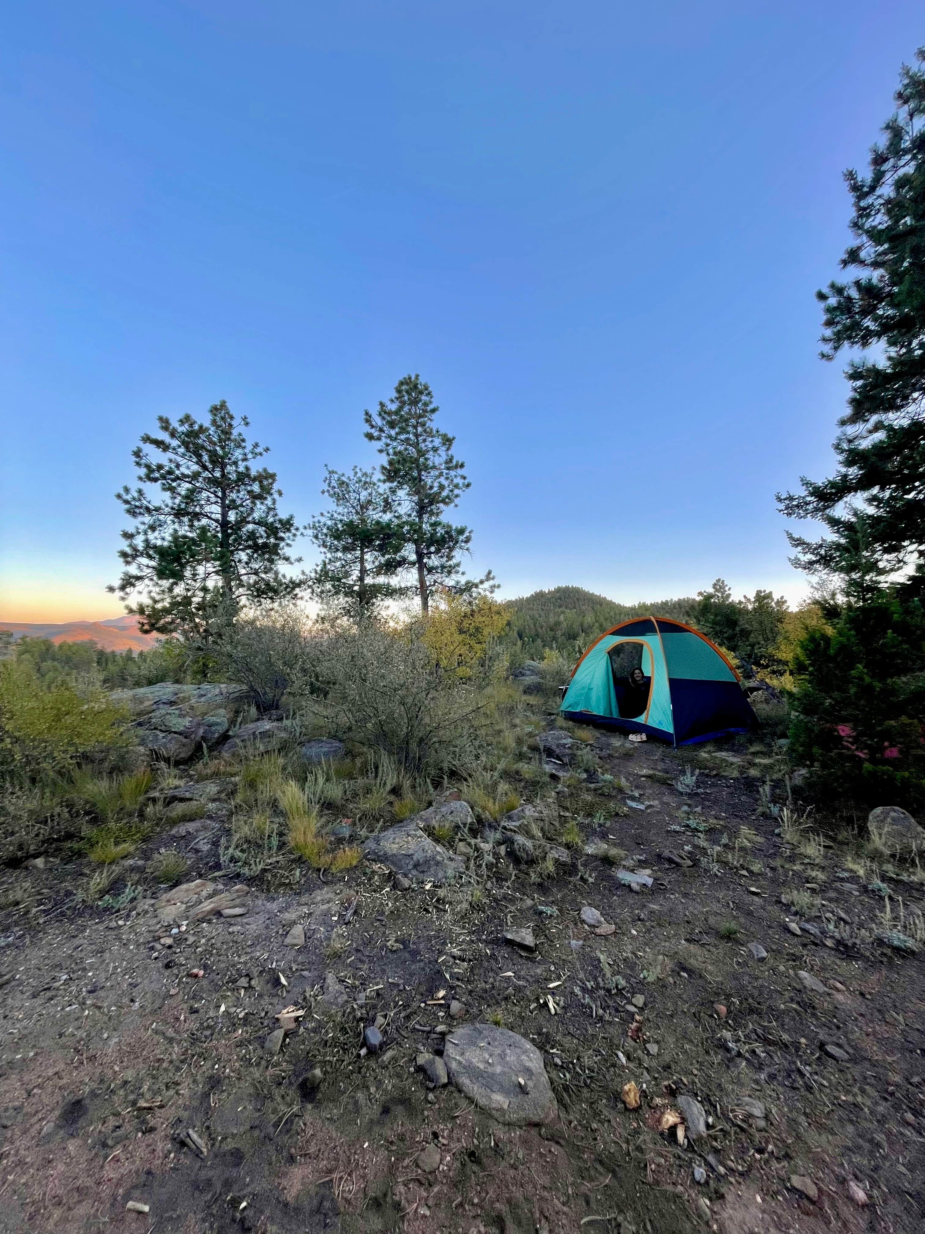 Camper-submitted photo at Tarryall Creek- Dispersed Camping near Lake George, CO